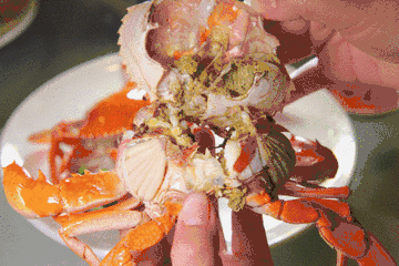 微信图片_20190813154050.gif